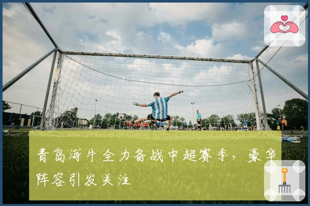 青岛海牛全力备战中超赛季，豪华阵容引发关注